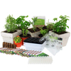 Culinary Indoor 12 Non-GMO Varieties Herbs Grow Garden Starter Kit