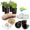 Indoor Beginners DIY Live Herb Transplanting Seed Starter Kit