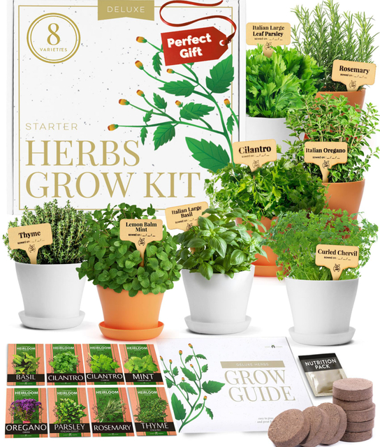 8 Indoor & Outdoor Variety Culinary Deluxe Herb Garden Plant Gift Kit