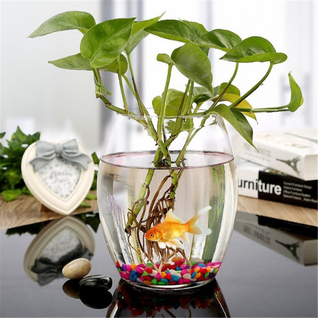 Glass hydroponic plant pot