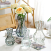 Spot Wholesale Net Red Glass Vase Transparent Hydroponic Flower Bottle Dry Flower Vase Table Decoration