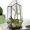 Tabletop Planter Natural Wood Board LED Succulents Grow Light Display Indoor Geometric Glass Terrarium Succulent Fern Bonsai