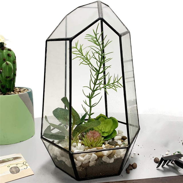 Tabletop Planter Natural Wood Board LED Succulents Grow Light Display Indoor Geometric Glass Terrarium Succulent Fern Bonsai