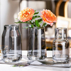 Modern Simple Transparent Glass Advanced Sense Vase Household Hydroponic Living Room Tabletop Vase