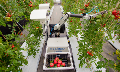 Vision-Based Autonomous Harvesting Robot
