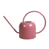 1.6L Long Spout Stainless Steel Gold Colored Watering Can