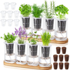 8 Pcs Hydroponic Herb Planter Growing Kit