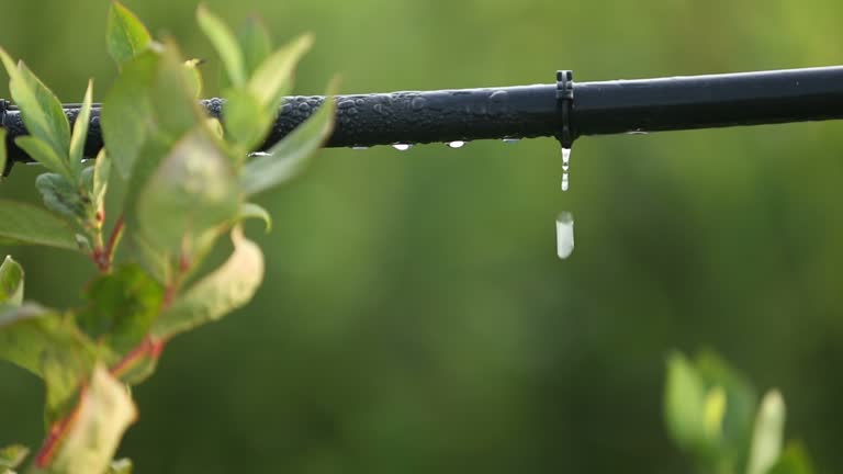istockphoto-473273111-640x640