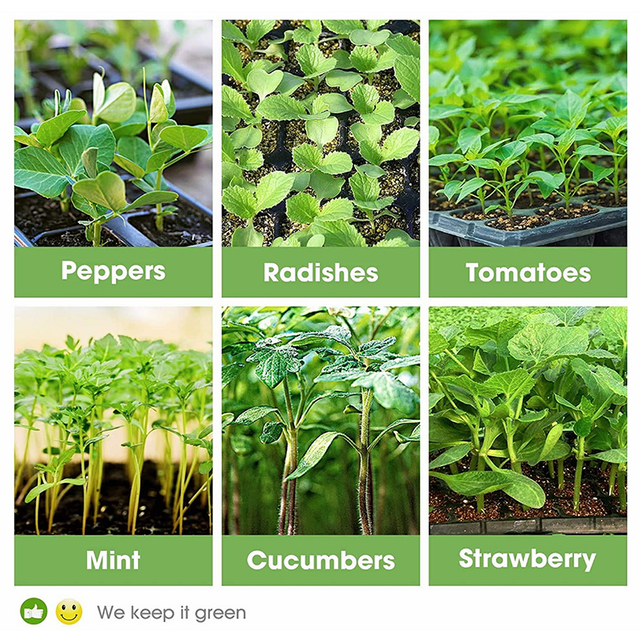 Seedling Starter Kits GT23111