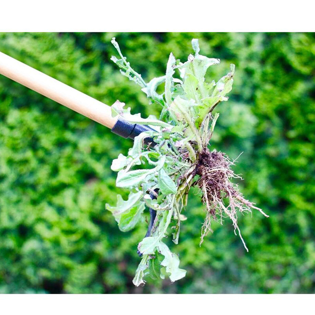 Stand Up Weed Puller GT1116