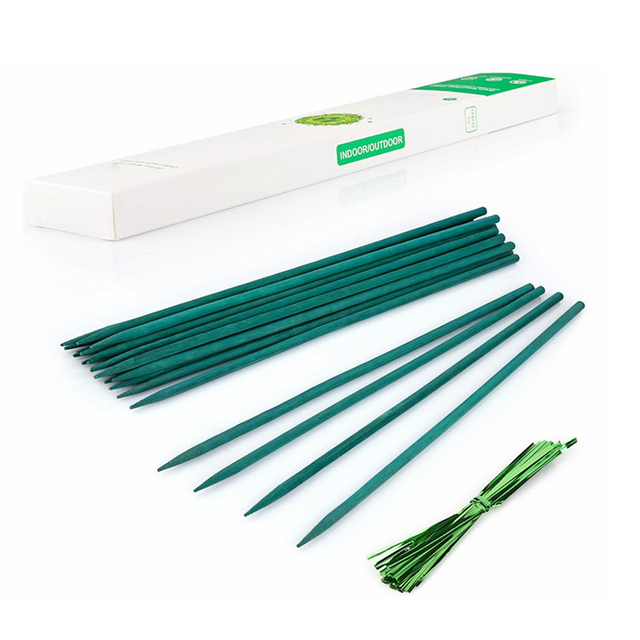 Bamboo Plant Stakes GT25325