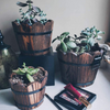 Wooden Flower Pots GT14354