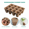 Organic Biodegradable Pea Pots Starter Kit GT23011