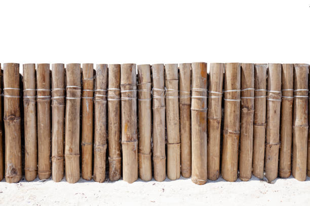 istockphoto-1367523898-612x612