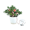 Household Drip Irrigation Watering Systems