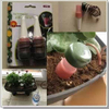 Automatic Watering Device Drip Irrigation Gardening