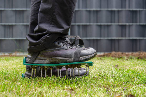 istockphoto-2148411559-612x612