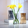 Simple Ins Electroplated Glowing Color Glass Vase