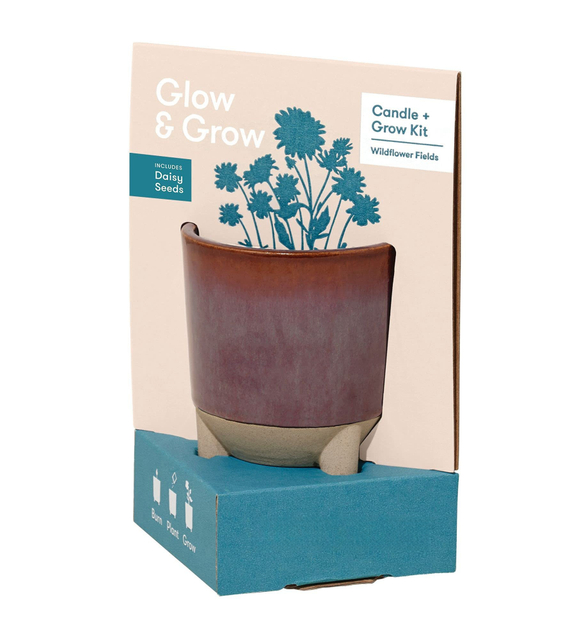 Grow Wildflower Fields and Candle Grow Daisy Seed Starter Grow Kit