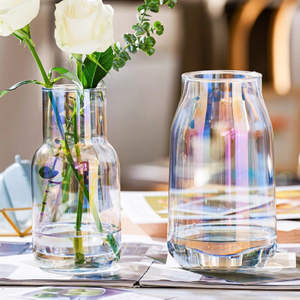 Modern Simple Transparent Glass Advanced Sense Vase Household Hydroponic Living Room Tabletop Vase