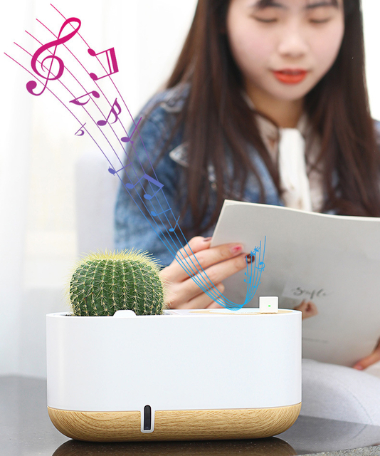 Smart Bluetooth Speaker and Lazy Self-watering Flower Pot