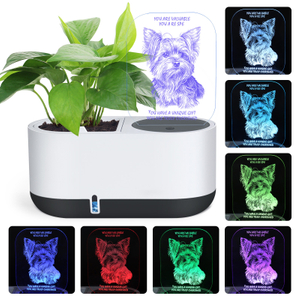 Indoor Herb Garden with Household LED Night Light Hydroponics Growing System Kit