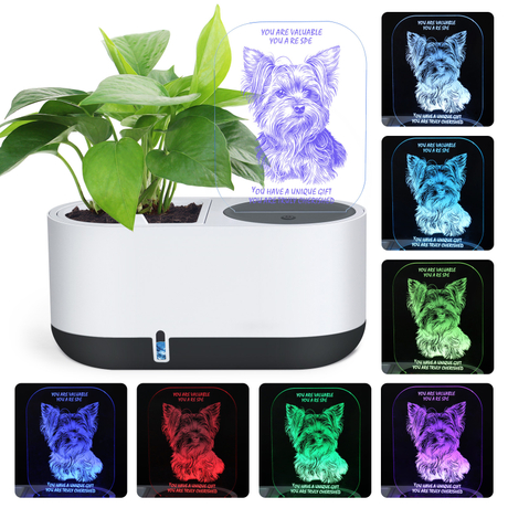Indoor Herb Garden with Household LED Night Light Hydroponics Growing System Kit