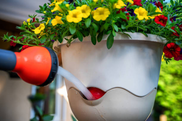 istockphoto-1535611431-612x612