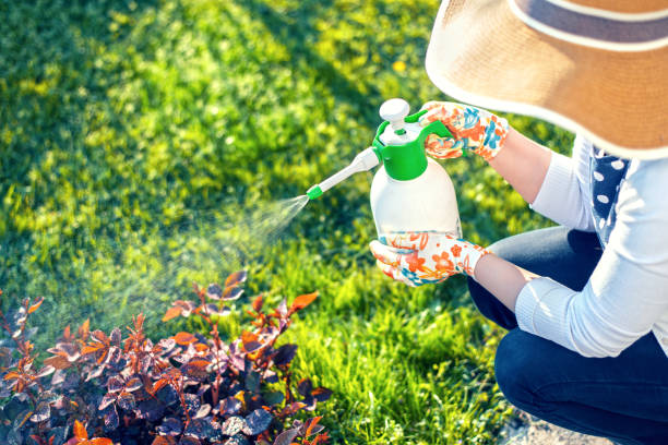 istockphoto-1092812454-612x612
