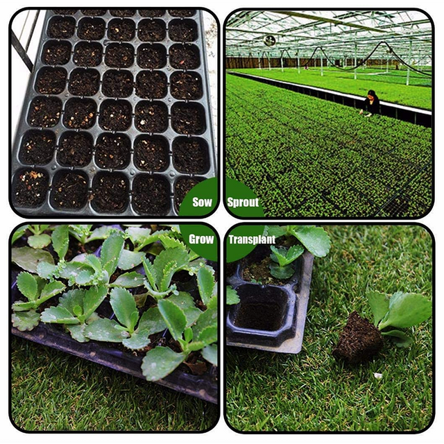 Plastic Tray GT23113