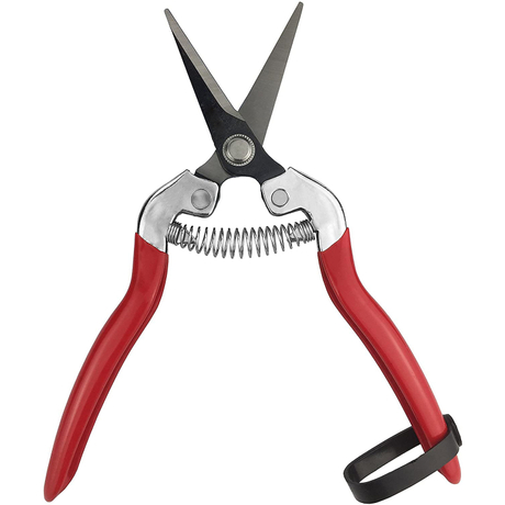 Small Pruning Shears GT2016