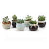 ceramic Succulent Planter Pot GT14044