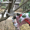 8” Bypass Pruners Gardening Tools Pruning Shears GT2007