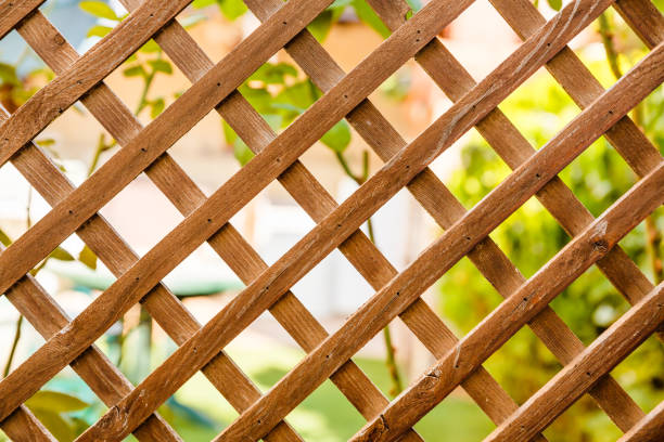 istockphoto-1160141110-612x612