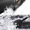 Multifunctional Garden Cleaning Shovel 
