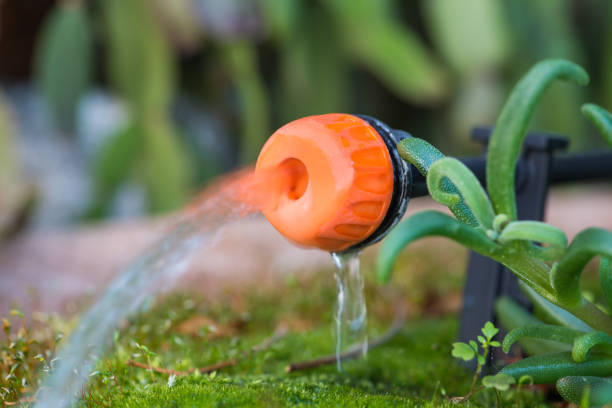 istockphoto-1224969302-612x612