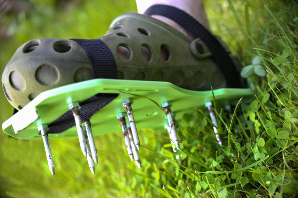 istockphoto-691266400-612x612