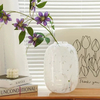 Nordic Creative Glass Vase Cylinder Decor Centerpiece Small Mini Table Luxury White Glass Vases