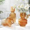 New Minimalist Glass Vase with Floral Arrangements