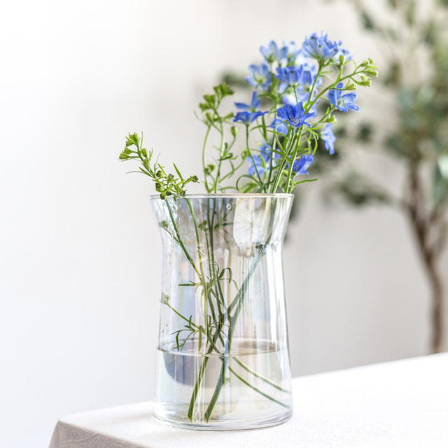 Short and Plump Glass Container and Transparent Body Vases