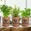 5 Indoor Complete Planting Herb Seeds Garden Starter Grow Kit