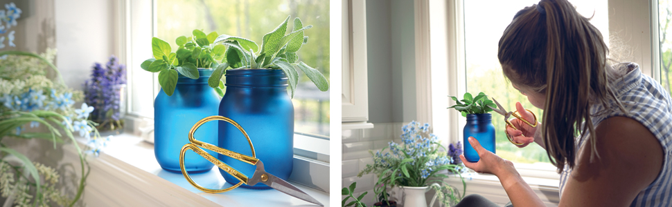 Indoor Greenhouse Plant Hydroponic Mason Jar Herb Growing Kits (4)