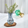 Nordic Garlic Head Glass Vase Transparent Tabletop Living Room Decoration Ornaments Ins High Appearance Level Dry Flowers Vase