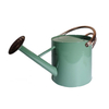 Metal Watering Can 67.6 Oz Modern Style Watering Pot