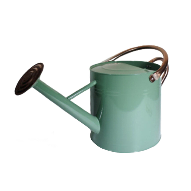 Metal Watering Can 67.6 Oz Modern Style Watering Pot