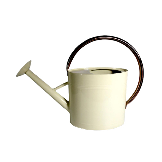Galvanized Metal Watering Can with Removable Long Spout & Sprinkler Head