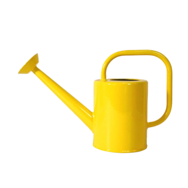 0.9L Metal watering can