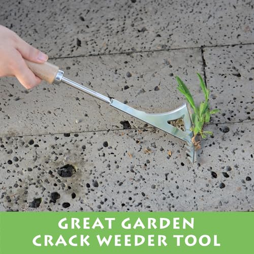 13.4" Stainless Steel Crevice Weeding Tool with Wood Handle