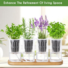8 Pcs Hydroponic Herb Planter Growing Kit