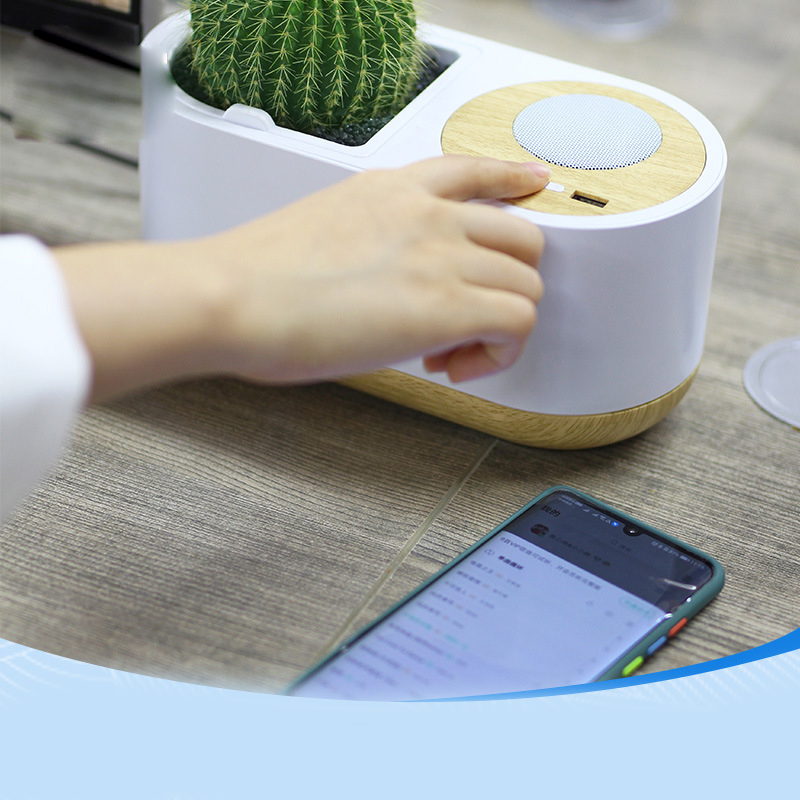 Self-watering Flower Pot (12)